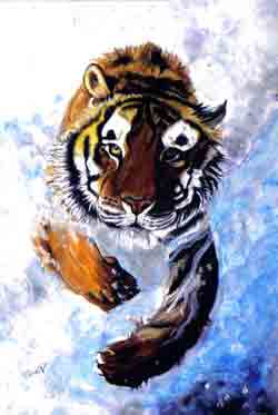 Tigre 